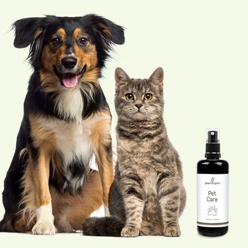 Pro Energetic | Pet Care Spray, 100 ml