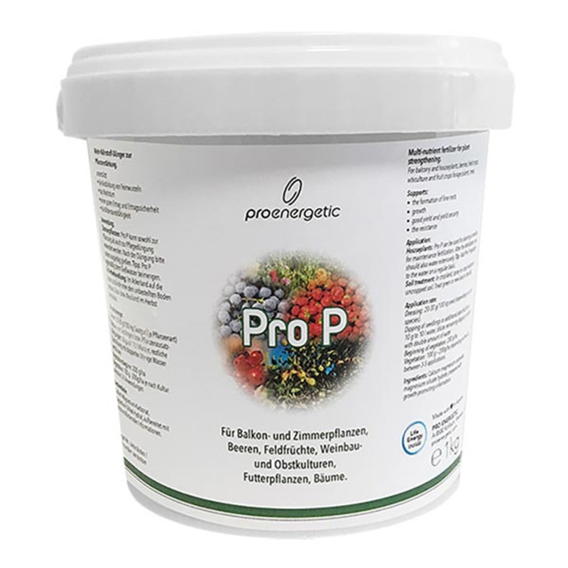 Pro Energetic Pro P, 1000g