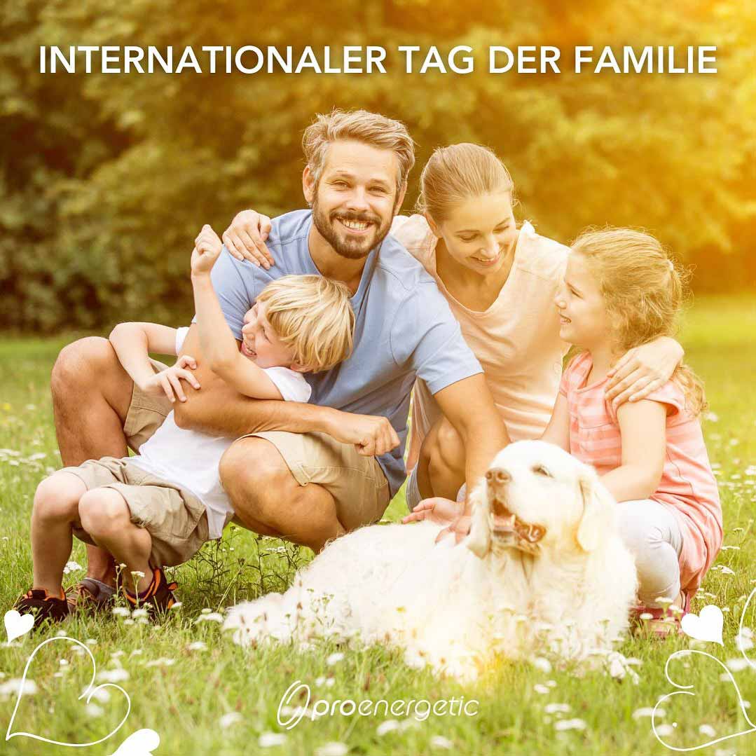 Bild für Nachricht Internationaler Tag der Familie