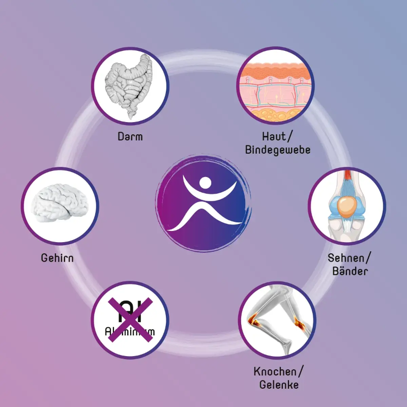 Pro Energetic | Silibiotix, Funktion